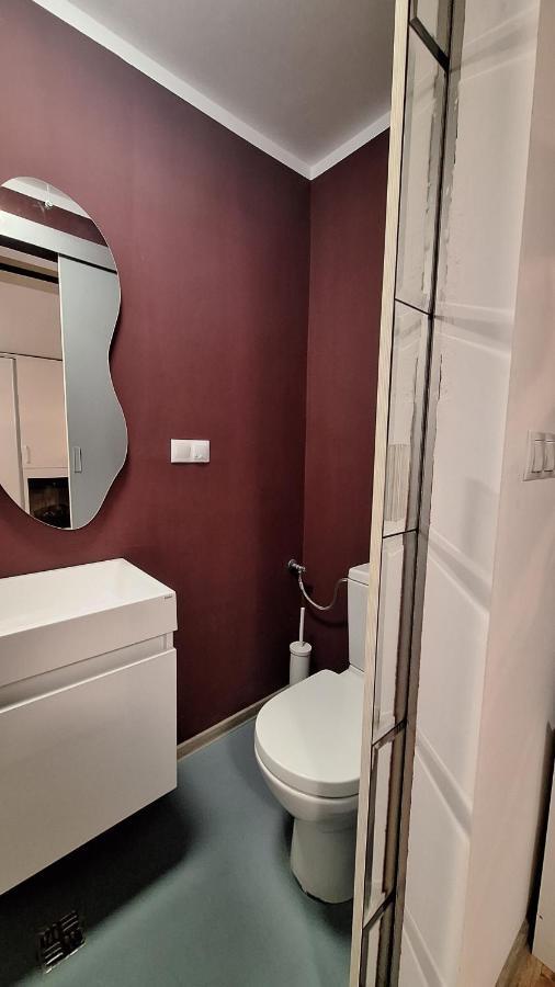 Swanhome - Central Apartment Κλουζ-Ναπόκα Εξωτερικό φωτογραφία