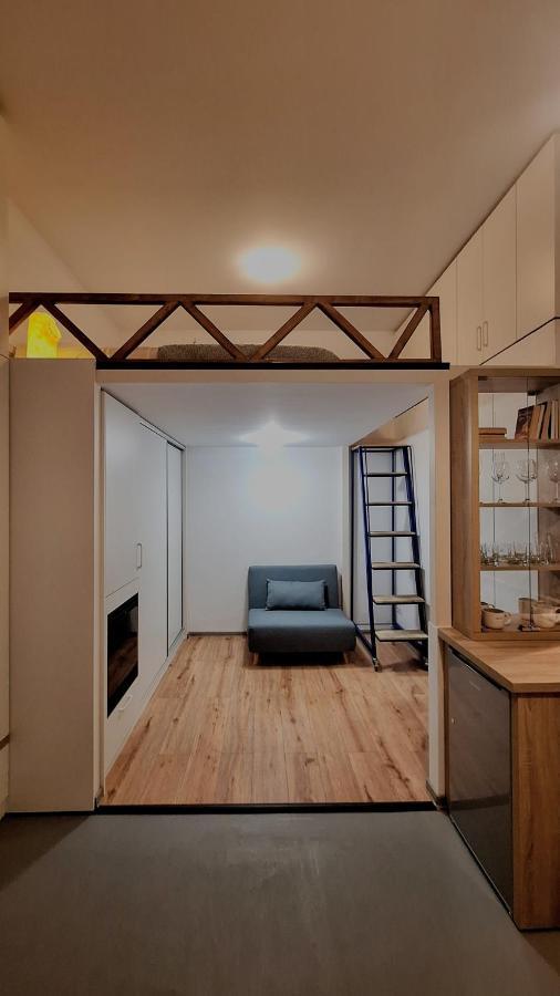 Swanhome - Central Apartment Κλουζ-Ναπόκα Εξωτερικό φωτογραφία