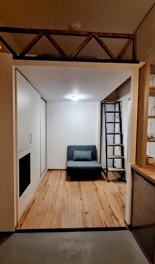 Swanhome - Central Apartment Κλουζ-Ναπόκα Εξωτερικό φωτογραφία