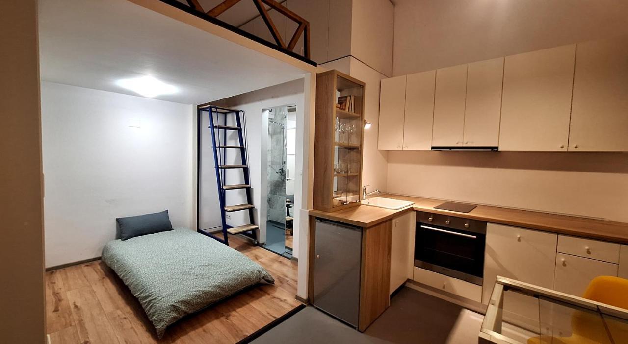 Swanhome - Central Apartment Κλουζ-Ναπόκα Εξωτερικό φωτογραφία