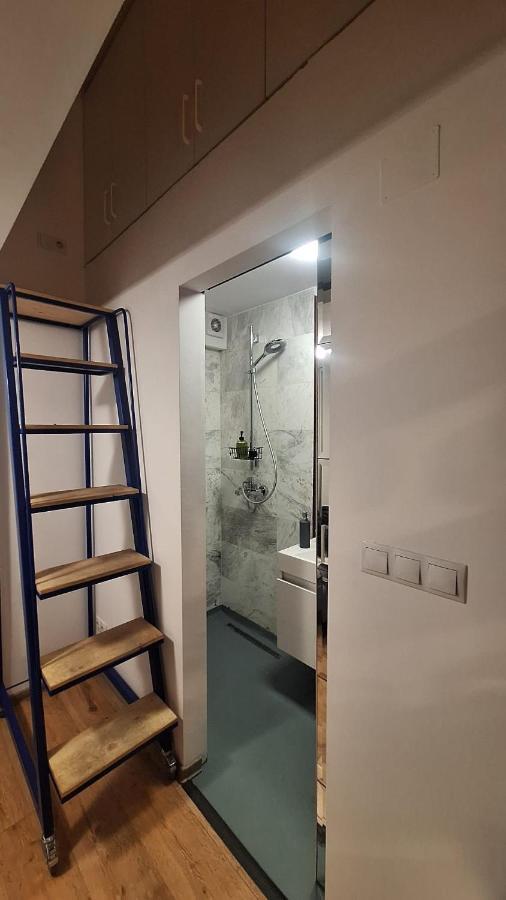 Swanhome - Central Apartment Κλουζ-Ναπόκα Εξωτερικό φωτογραφία